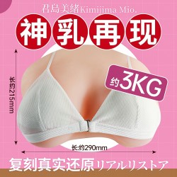 日本【男用器具】WildOne 君岛乳房仿真 (约3KG)（厂家代发）