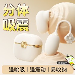 【女用器具】谜姬 一叶青欢吮吸震动跳蛋【控价产品，先联系负责人备案，再申请白名单】
